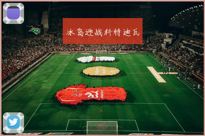 冰岛迎战科特迪瓦