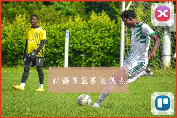 新疆男篮赛场焦点