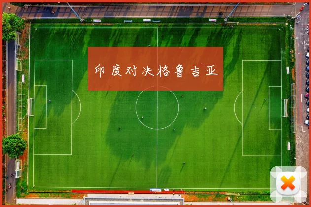 印度对决格鲁吉亚
