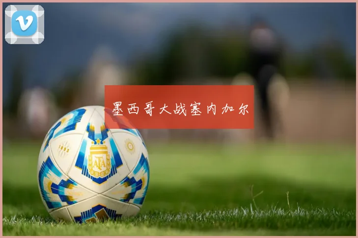 墨西哥大战塞内加尔