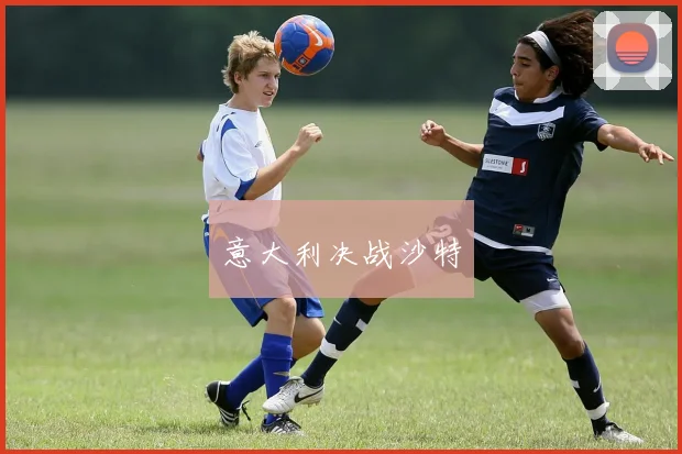意大利决战沙特